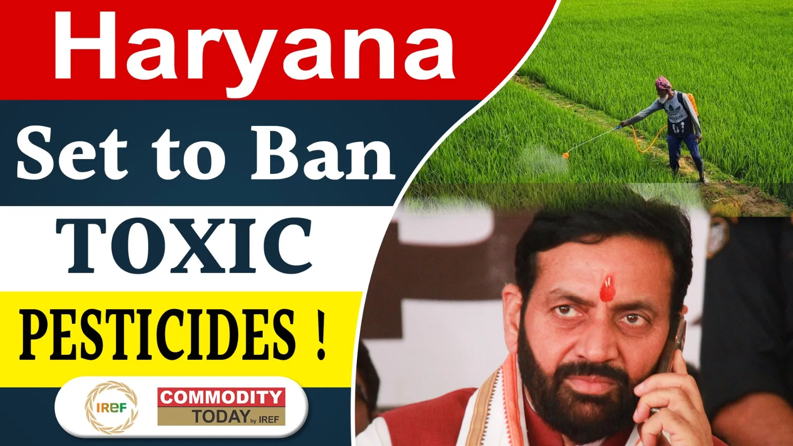 Haryana Govt. Planning to Ban Harmful Basmati Rice Pesticides