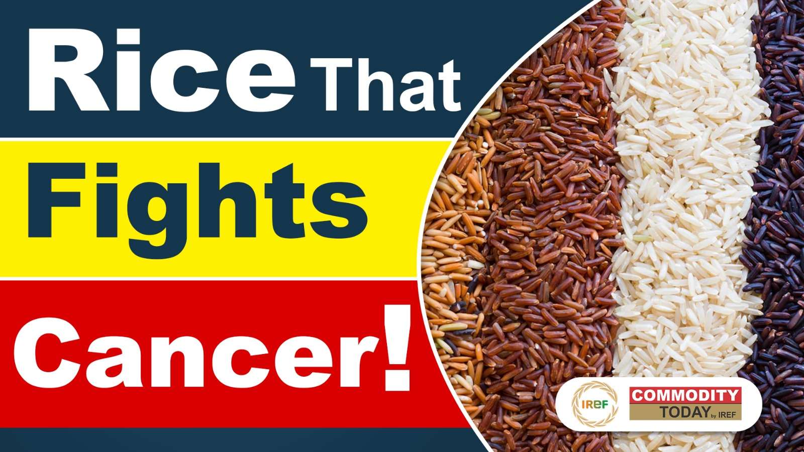 6 Special Varieties of Rice Have Cancer Fighting Properties