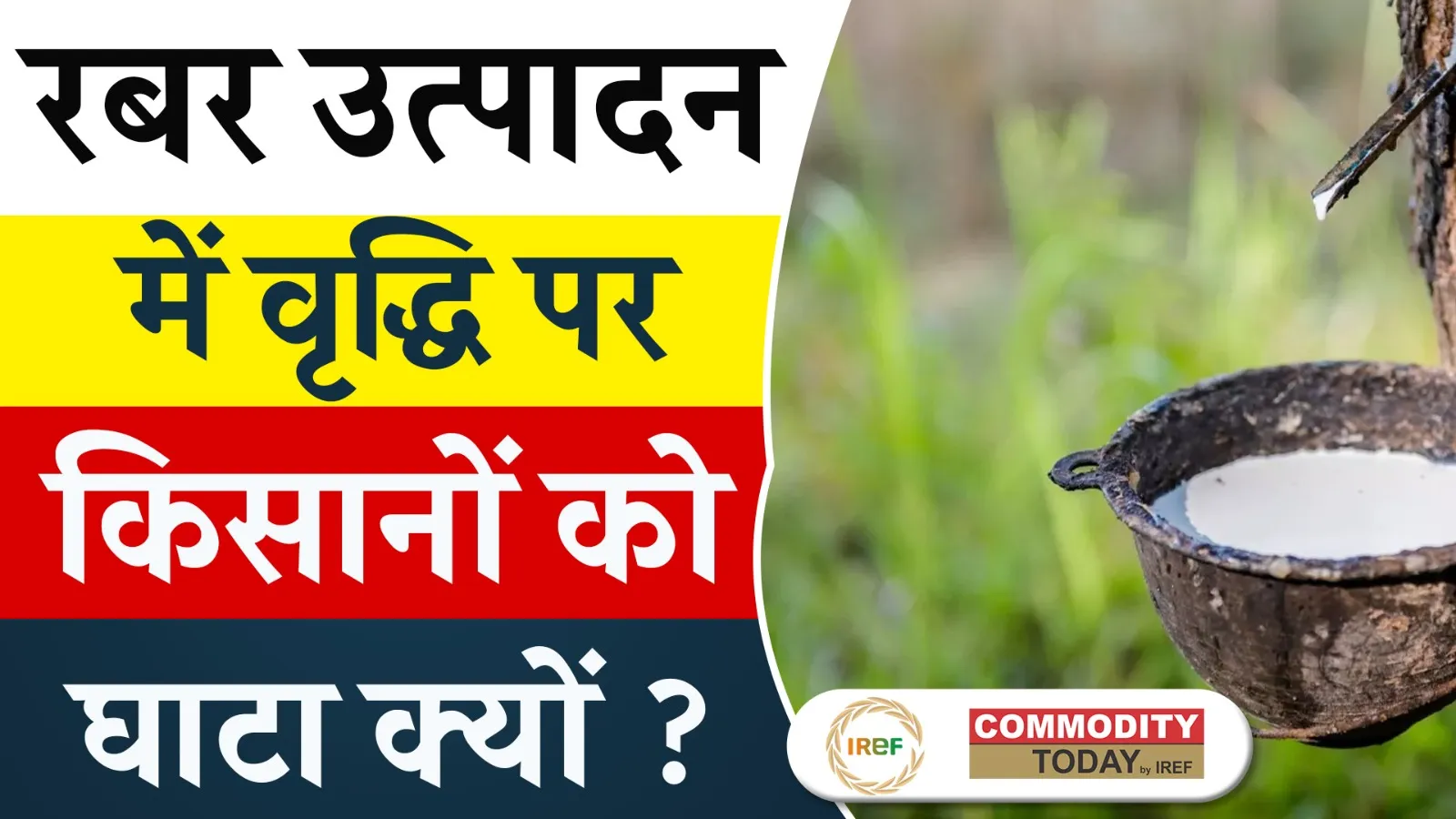 India Witnesses a Slight Increase in Rubber Production in FY 2024-25