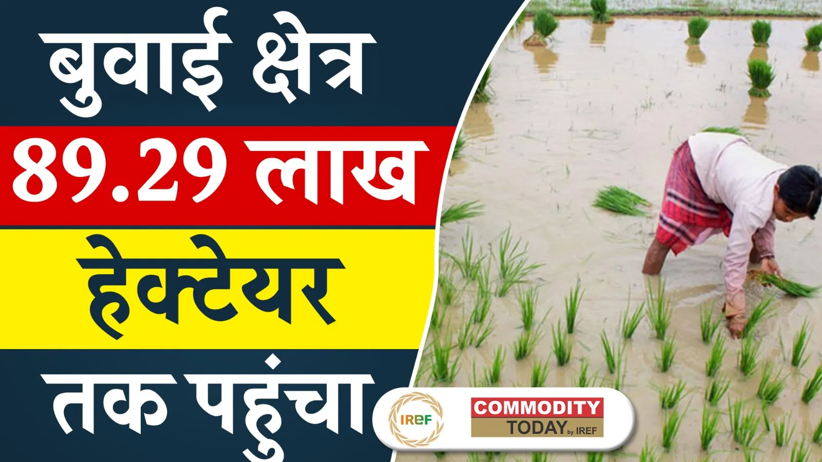 Kharif Crop Area Increases to 89.29 Lakh Hectares