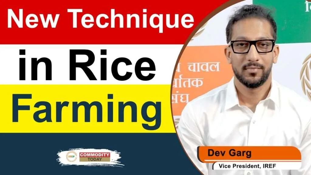 Low Carbon Rice Project will Lead the Way in Sustainable Rice Production