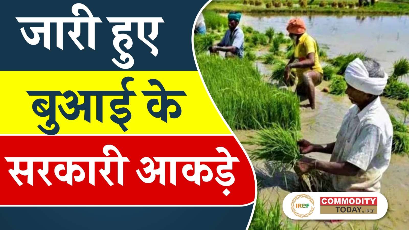 More Summer Crops Sowing Reported in Last Month