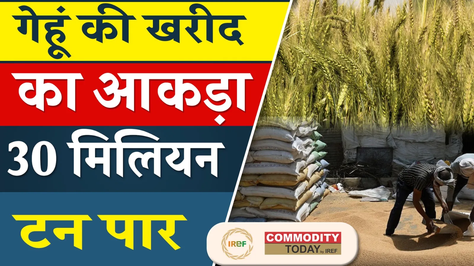 Rajasthan Wheat Procurement Lifts Wheat Purchase to 4-Yr. High