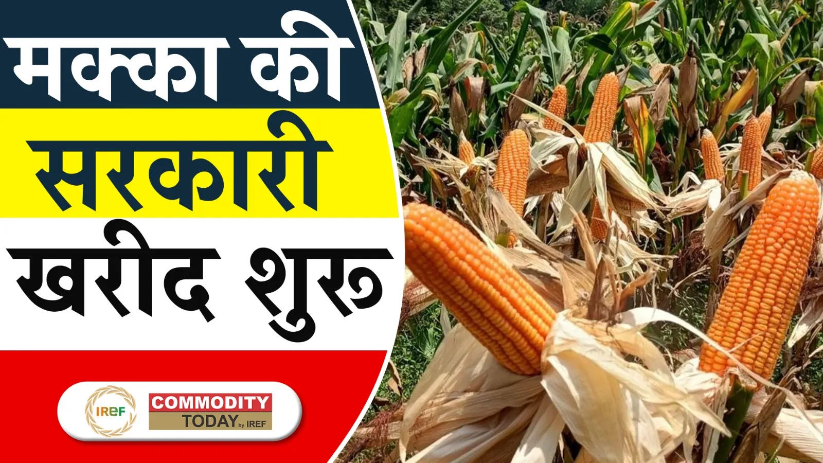 Yogi Govt. Purchasing Maize from Farmers at Minimum Support Price (MSP)