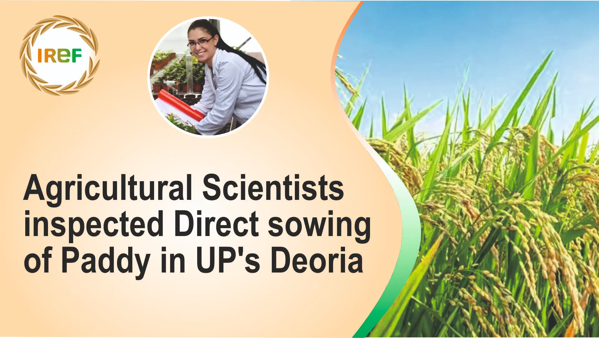 Agricultural Scientists inspected the Direct Sowing of Rice in UP’s Deoria