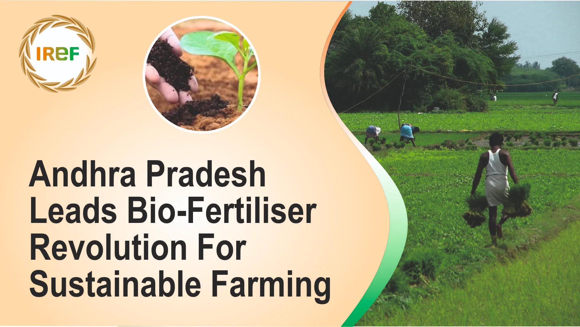 Andhra Pradesh Leads Bio-Fertiliser Revolution For Sustainable Farming