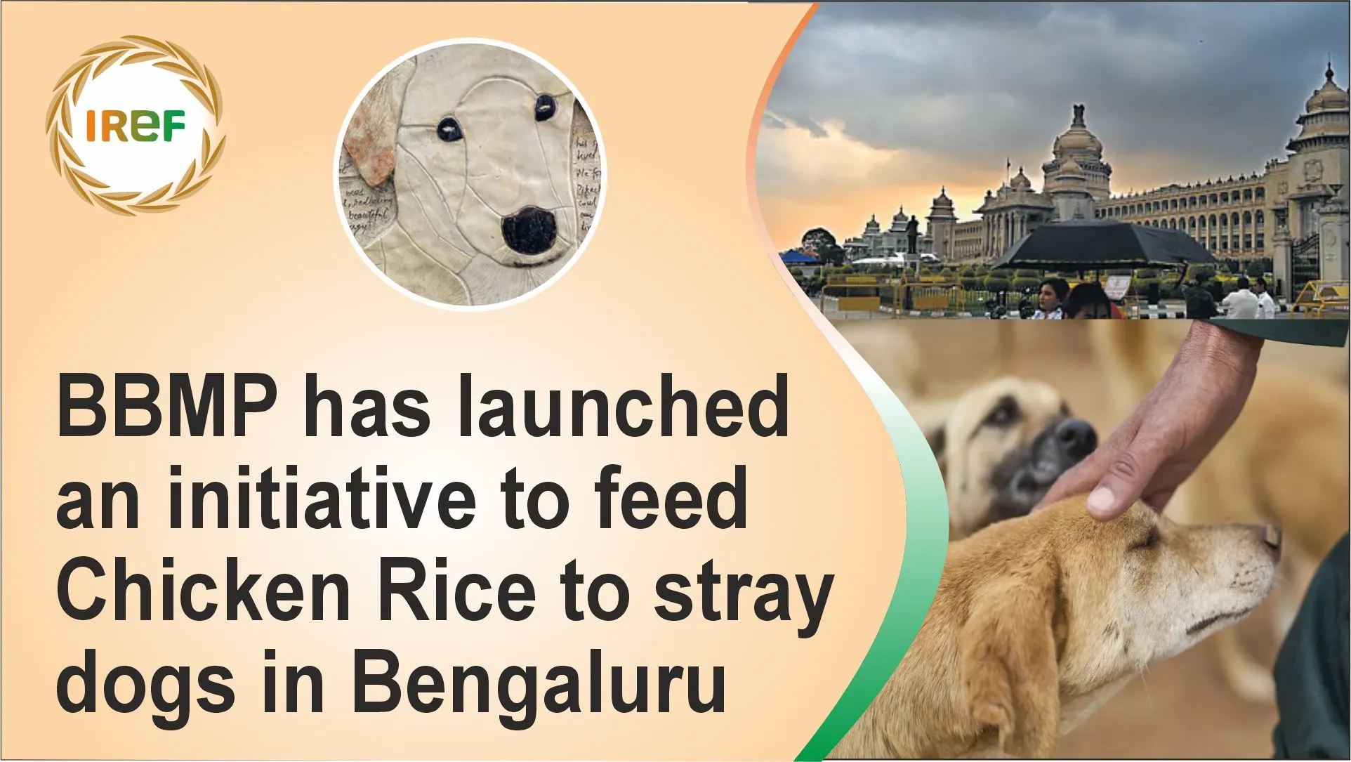 BBMP has launched an initiative to feed Chicken Rice to stray dogs in Bengaluru