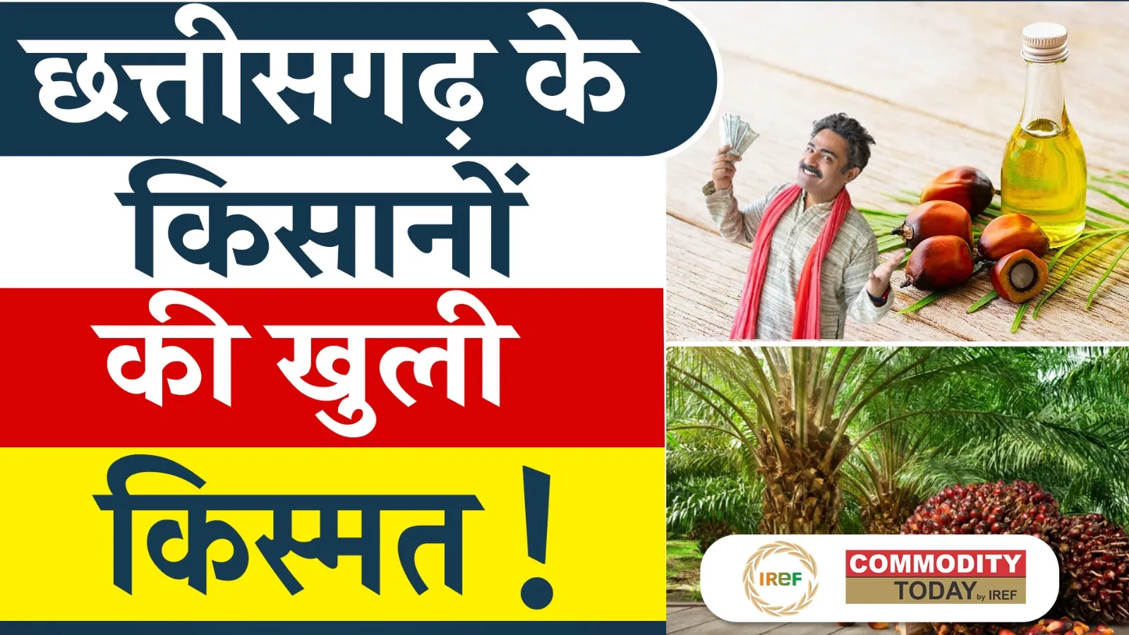 Chhattisgarh Govt. Will Give Subsidy on Palm Oil Cultivation