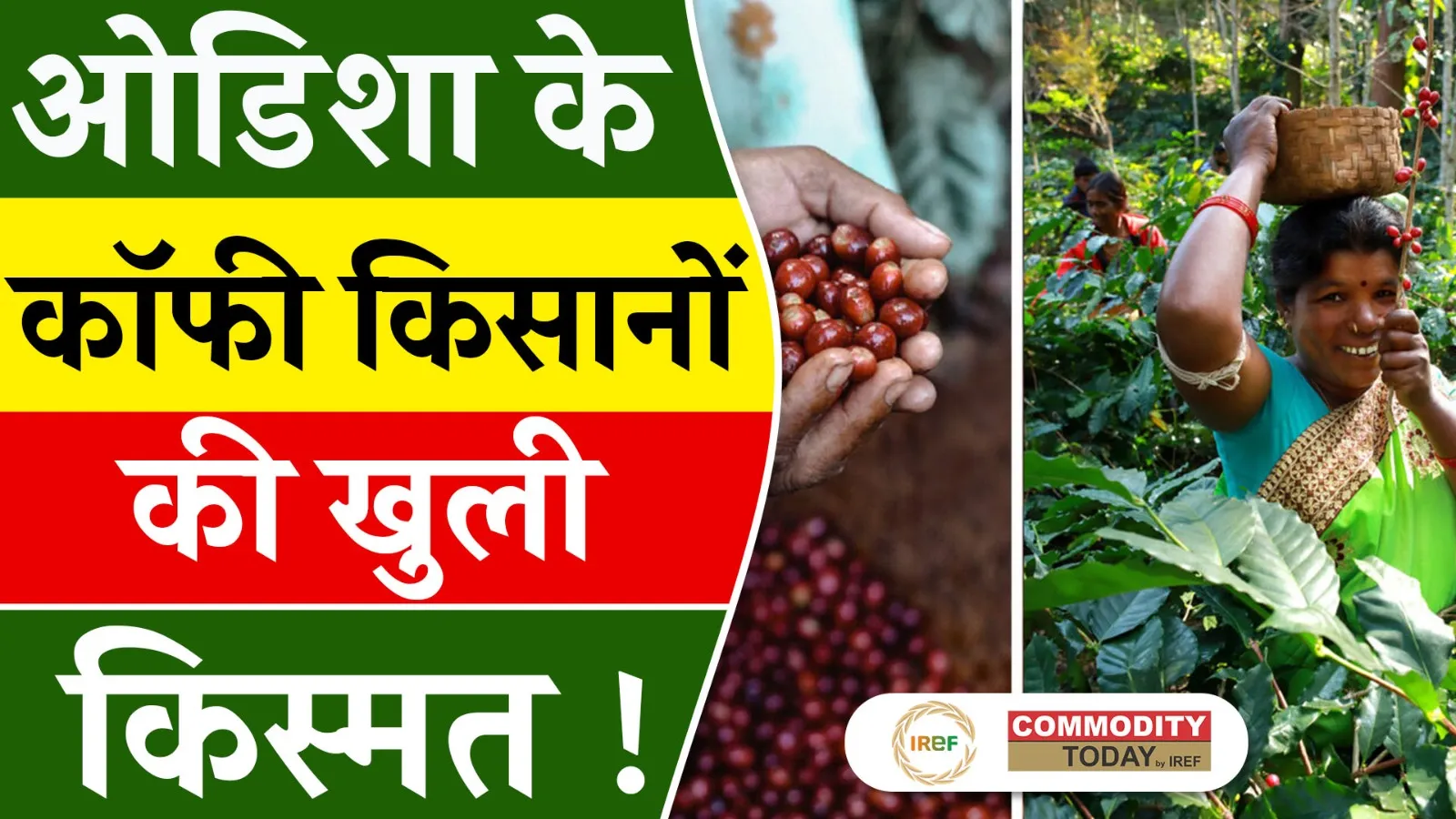 Dharmendra Pradhan Visits Koraput Coffee Gardens