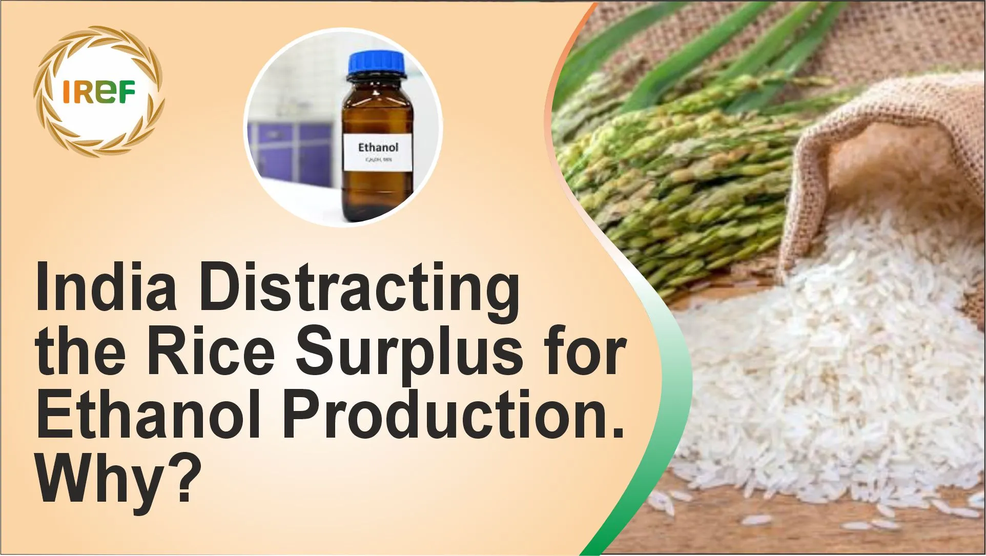 India Distracting the Rice Surplus for Ethanol Production. Why?
