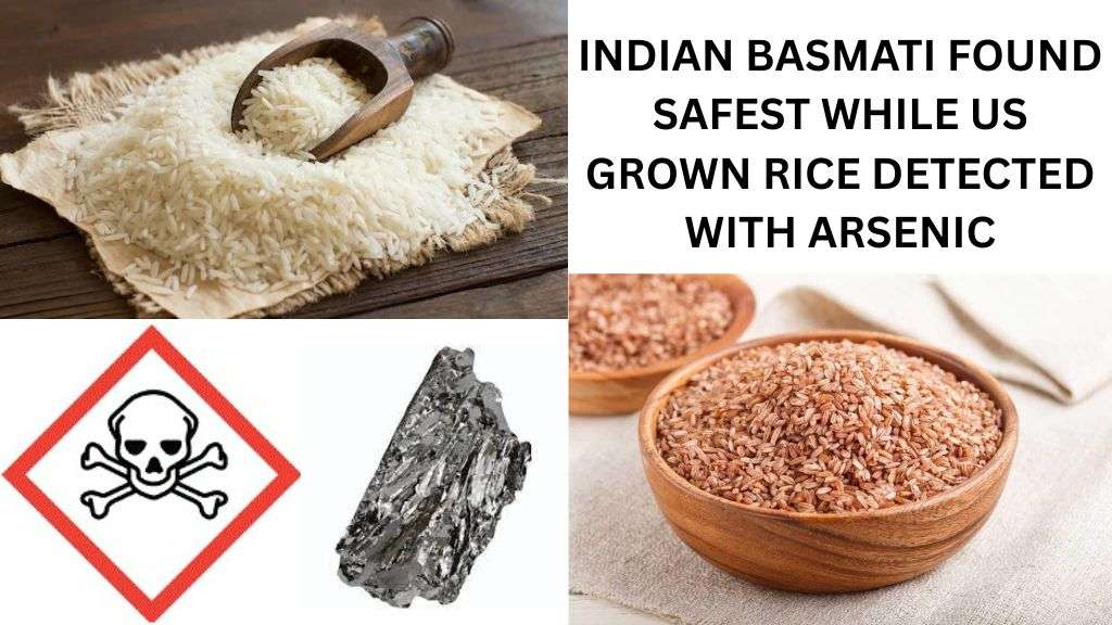 Indian Basmati Found Safest while US Grown Rice Detected with Arsenic