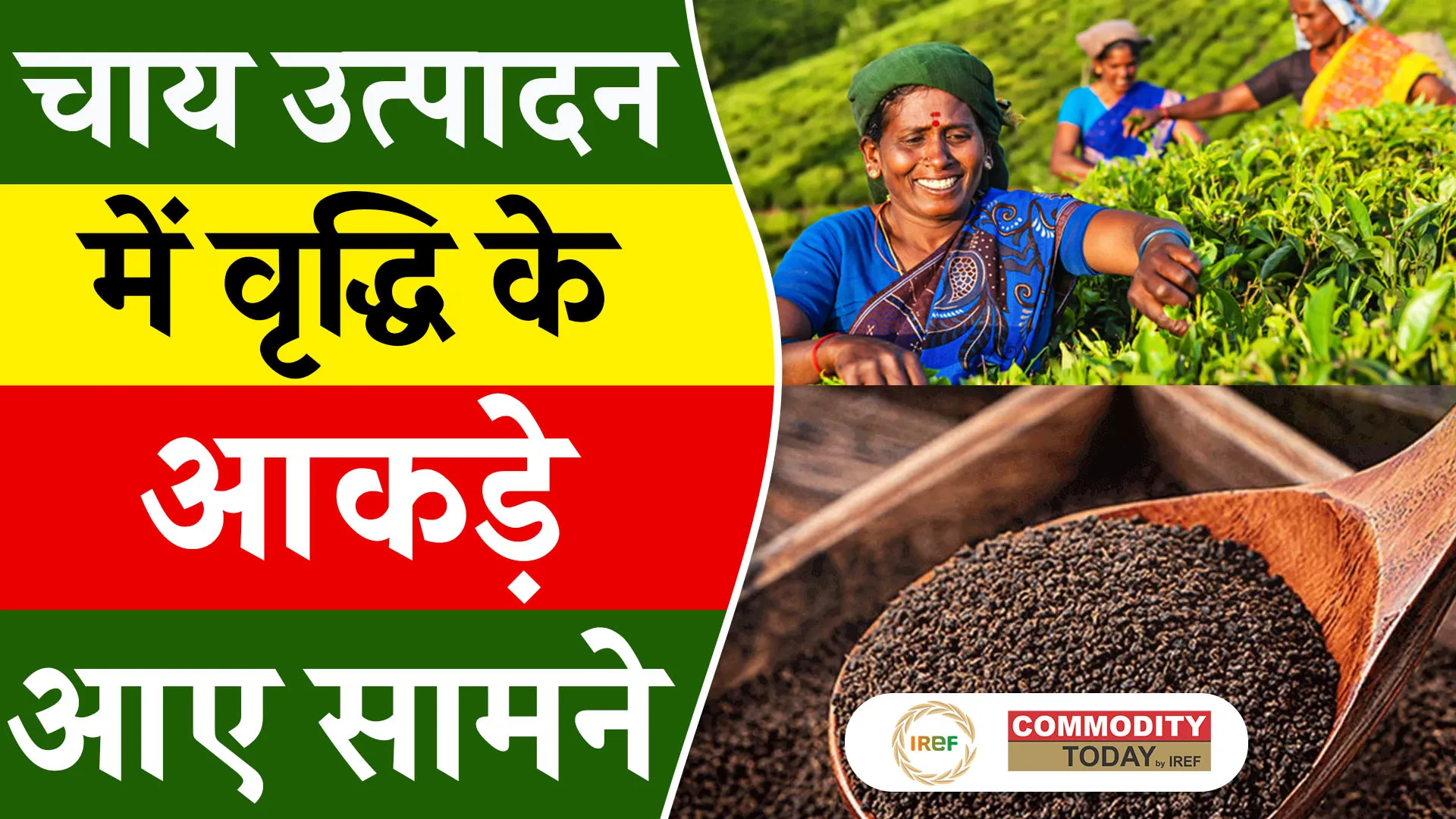 India’s Tea Production Up by 40% in May 2025