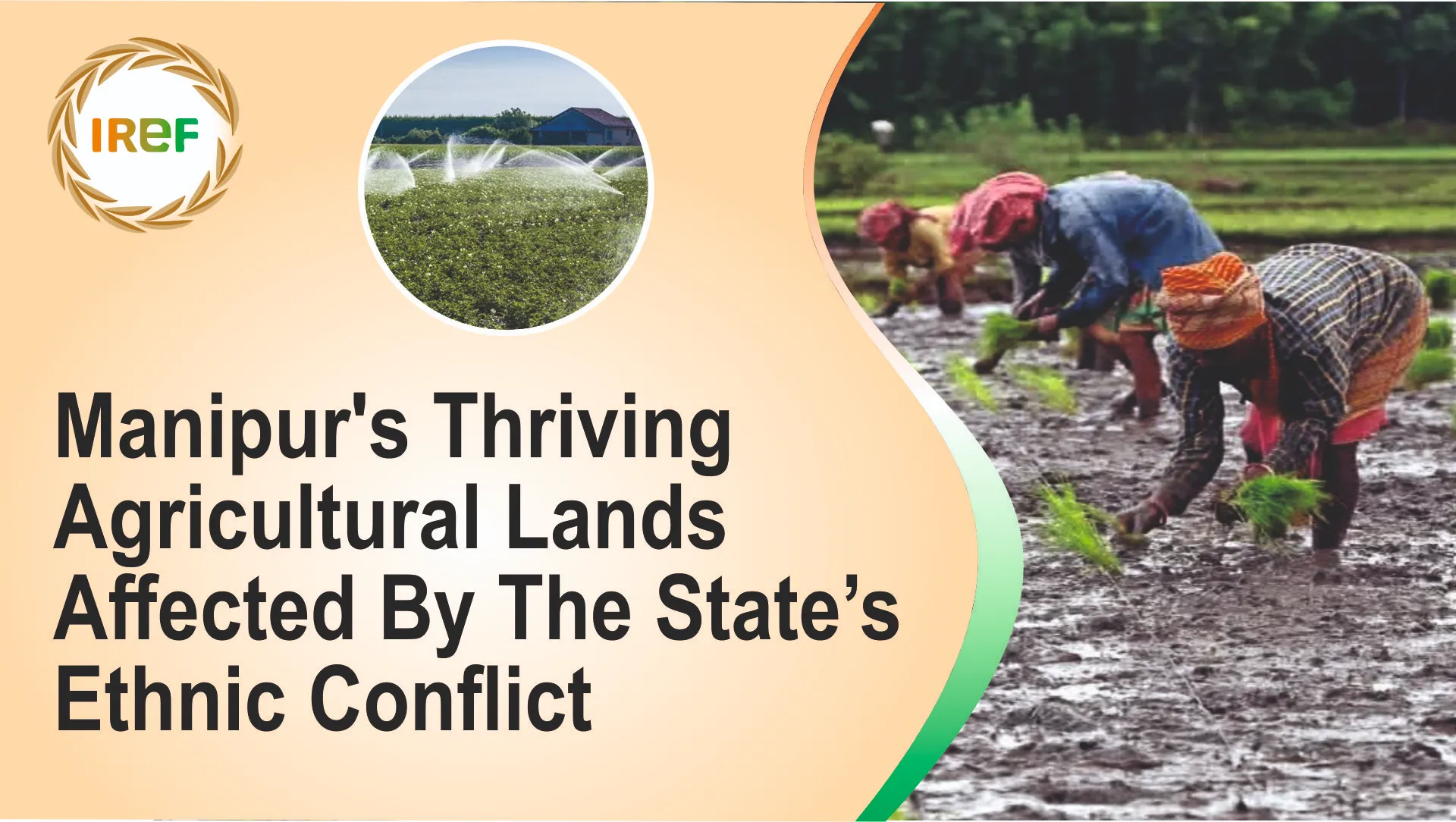 Manipur’s Thriving Agricultural Lands Affected By The State’s Ethnic Conflict