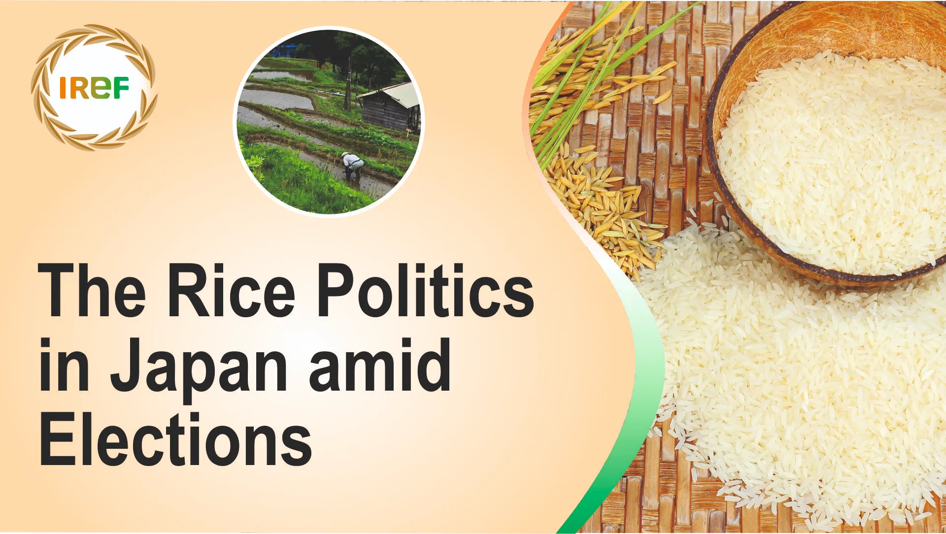 The Japan Rice Politics amid Elections