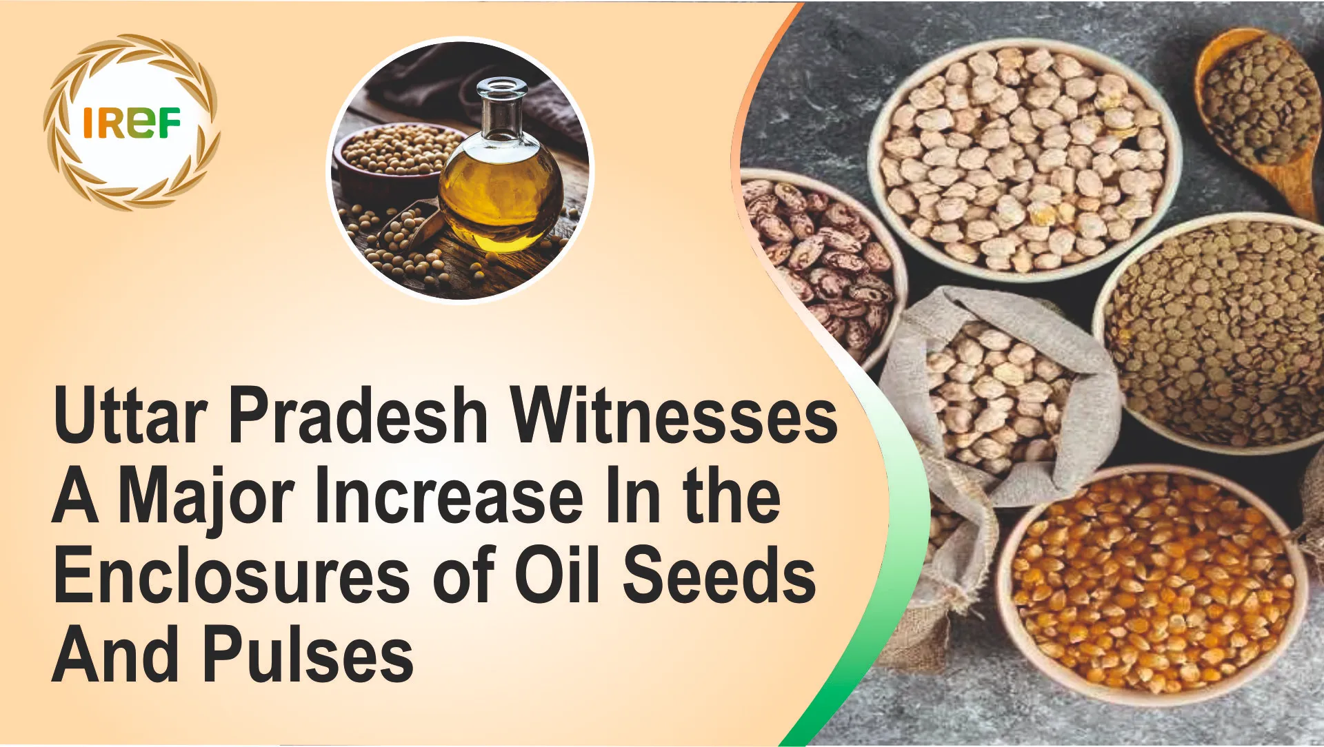 Uttar Pradesh Witnesses A Major Increase In The Enclosures Of Oil Seeds And Pulses