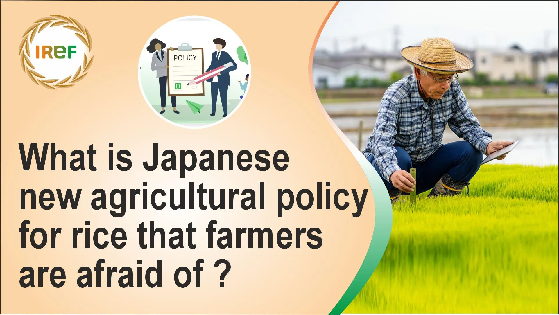 What is Japanese new agricultural policy for rice that farmers are afraid of?