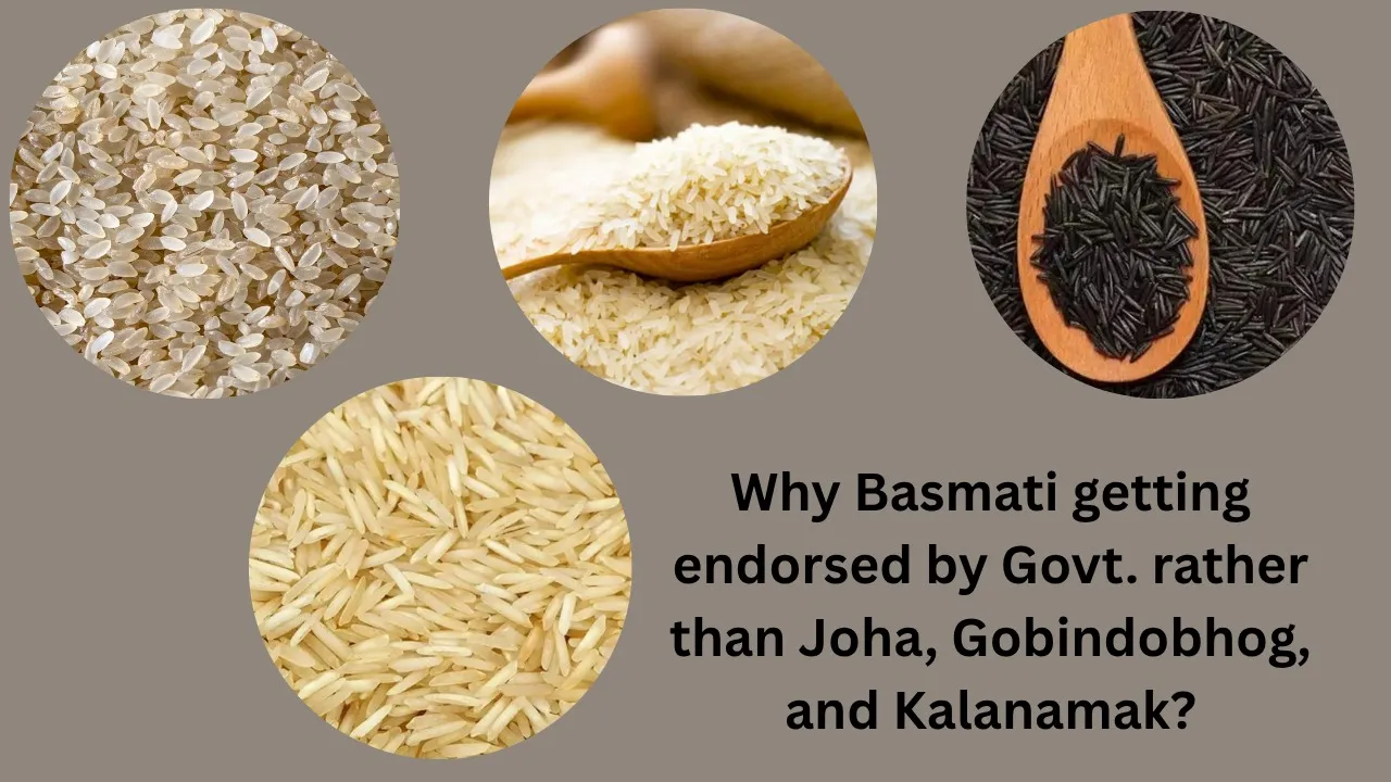 Why Basmati getting endorsed by Govt. rather than Joha, Gobindobhog, and Kalanamak?