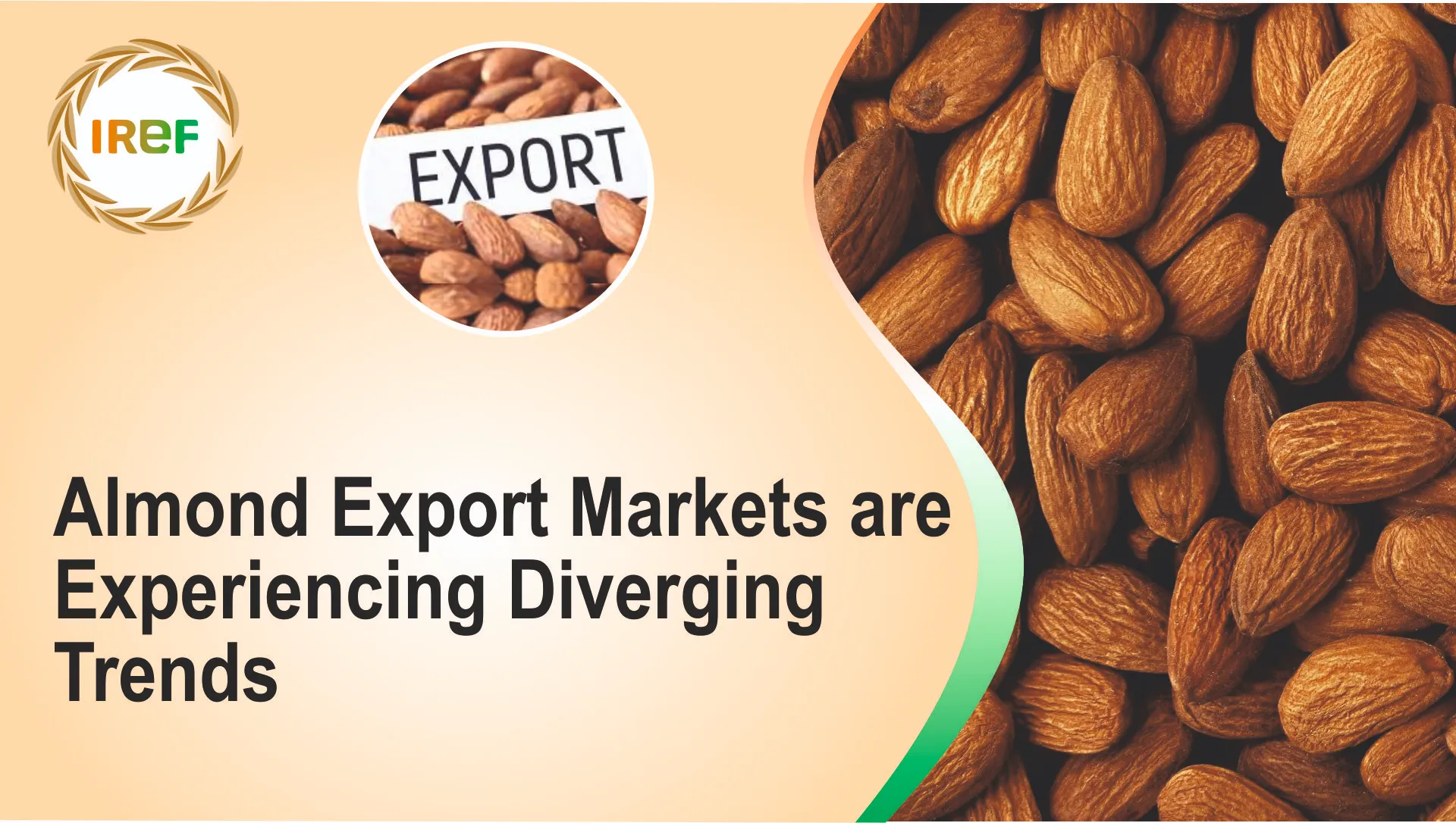 Almond Export Markets are Experiencing Diverging Trends