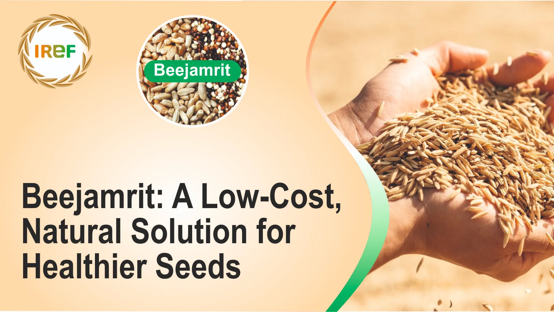 Beejamrit: A Low-Cost, Natural Solution for Healthier Seeds