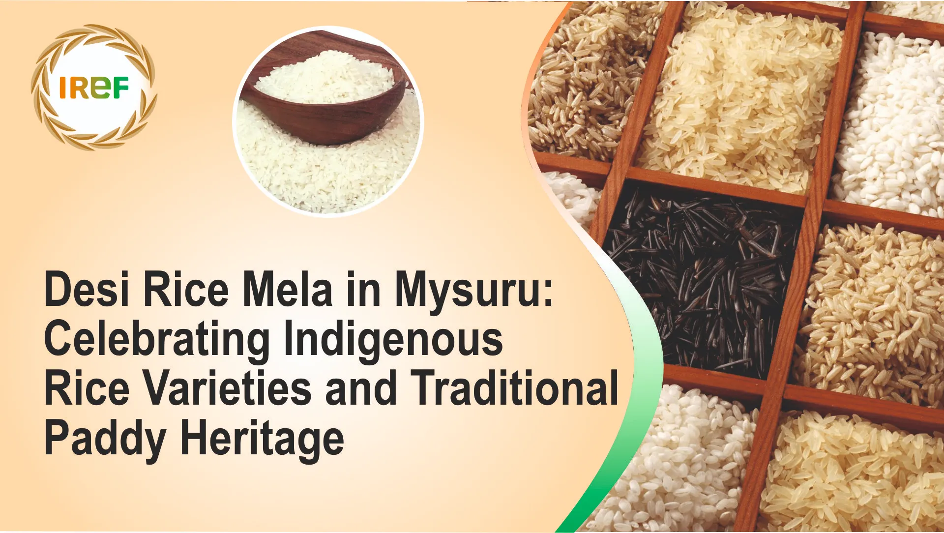Desi Rice Mela in Mysuru: Celebrating Indigenous Rice Varieties and Traditional Paddy Heritage