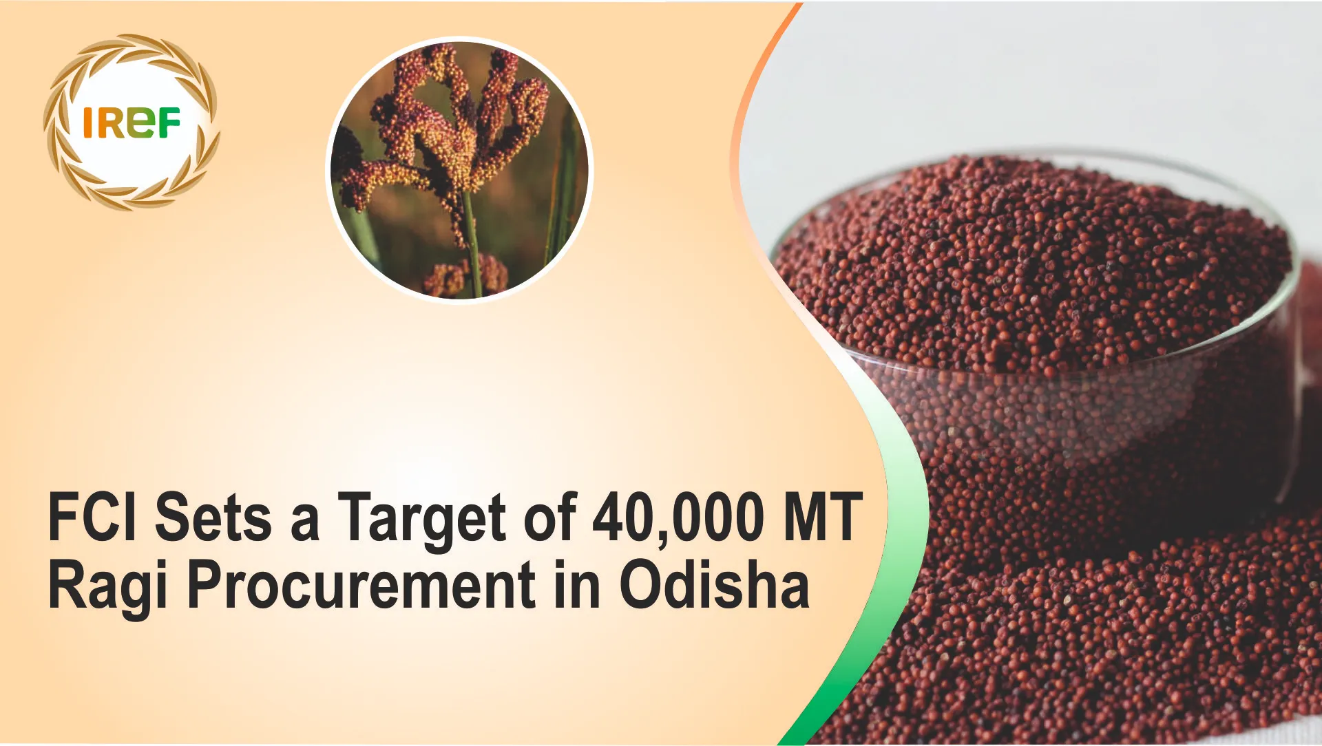 FCI Sets a Target of 40,000 MT Ragi Procurement in Odisha