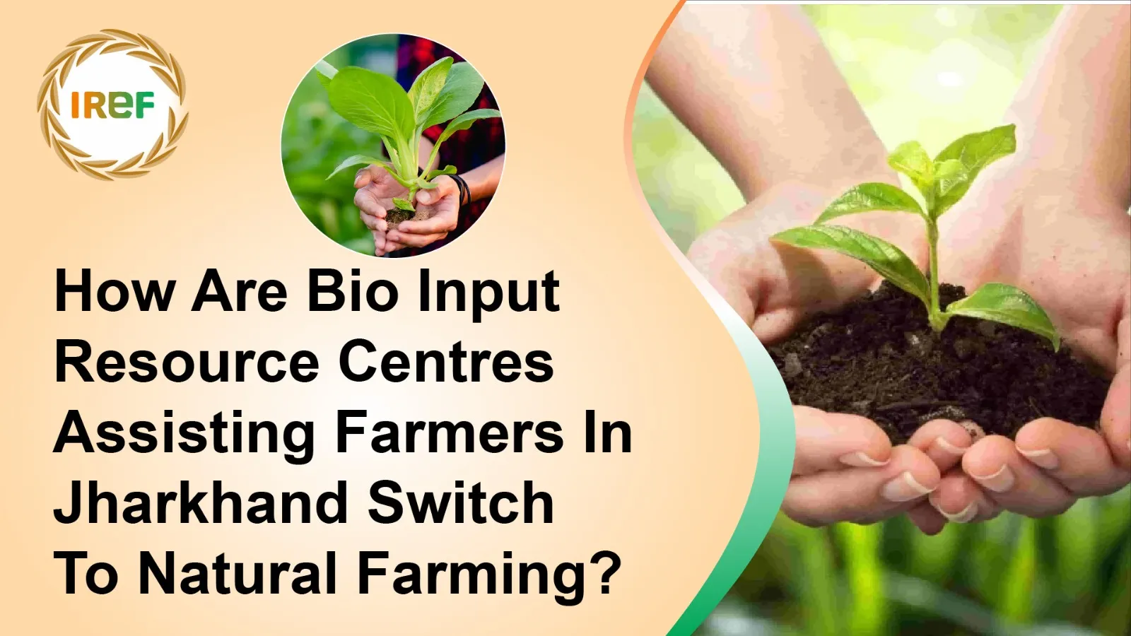 How Are Bio Input Resource Centres Assisting Farmers In Jharkhand Switch To Natural Farming?