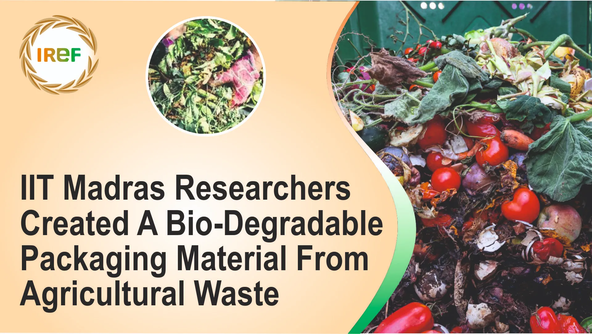 IIT Madras Researchers Created A Bio-Degradable Packaging Material From Agricultural Waste