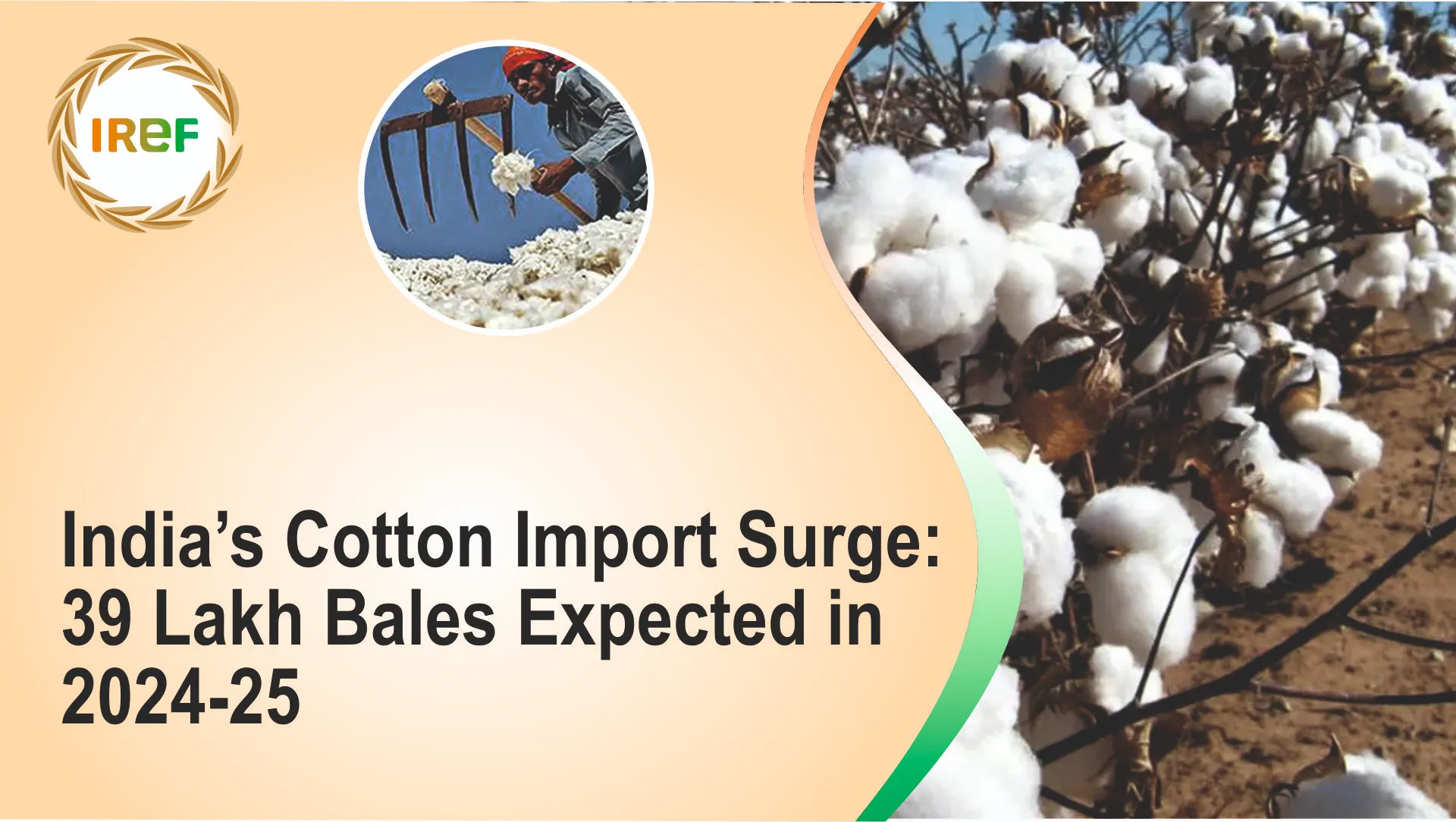 India’s Cotton Imports Surge: 39 Lakh Bales Expected in 2024-25