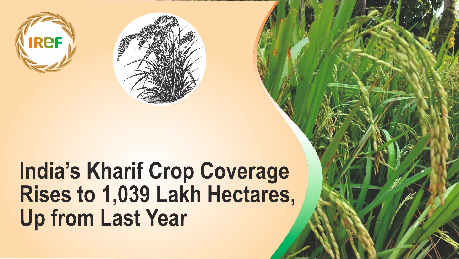 India’s Kharif Crop Coverage Rises to 1,039.81 Lakh Hectares, Up from Last Year