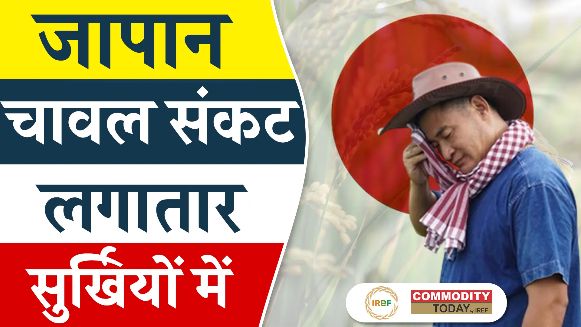 Japan Continues to Face Rice Crisis Amidst Surge in Price