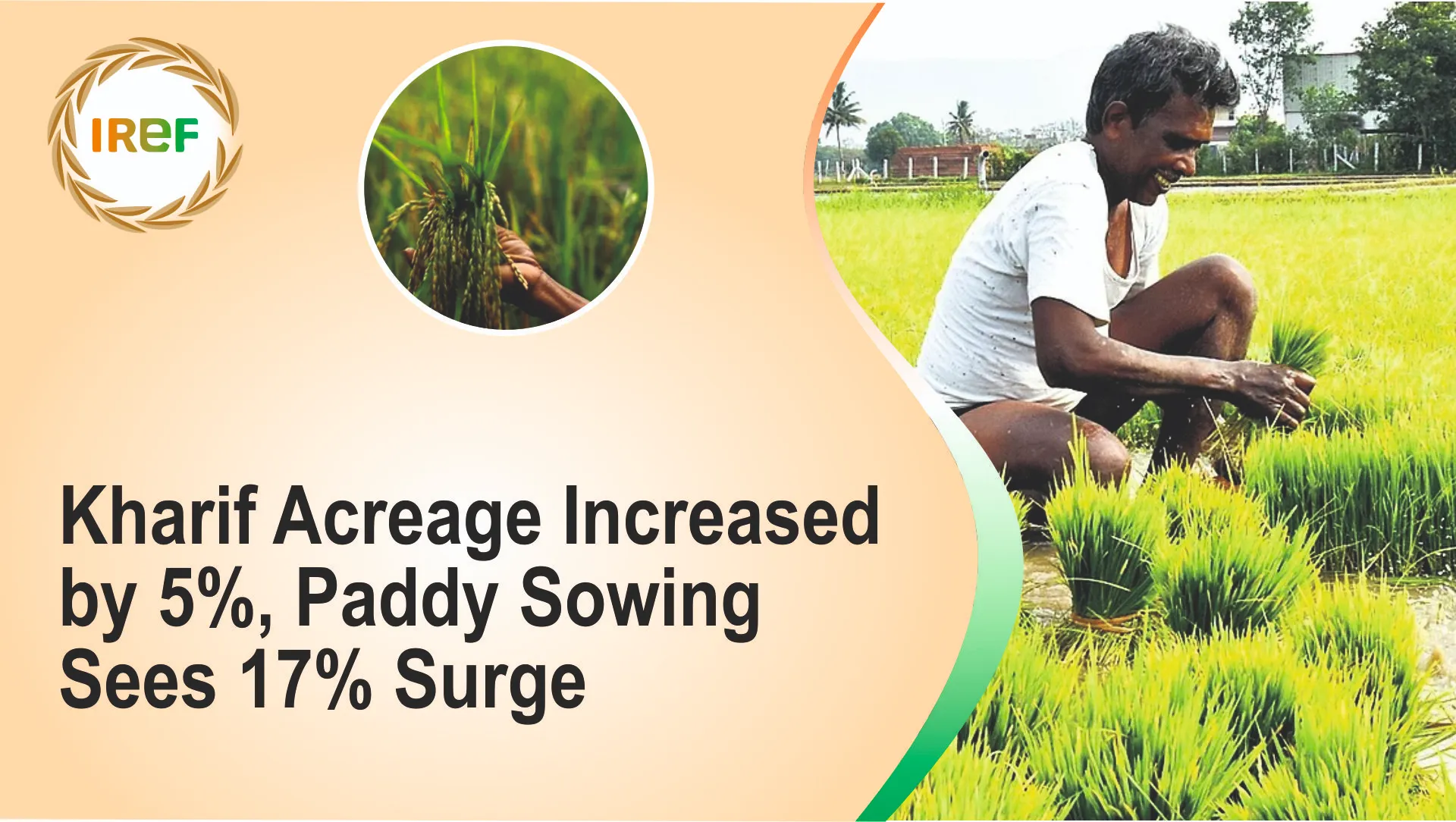 Kharif Crop Acreage Up 5%, Paddy Sowing Sees 17% Surge