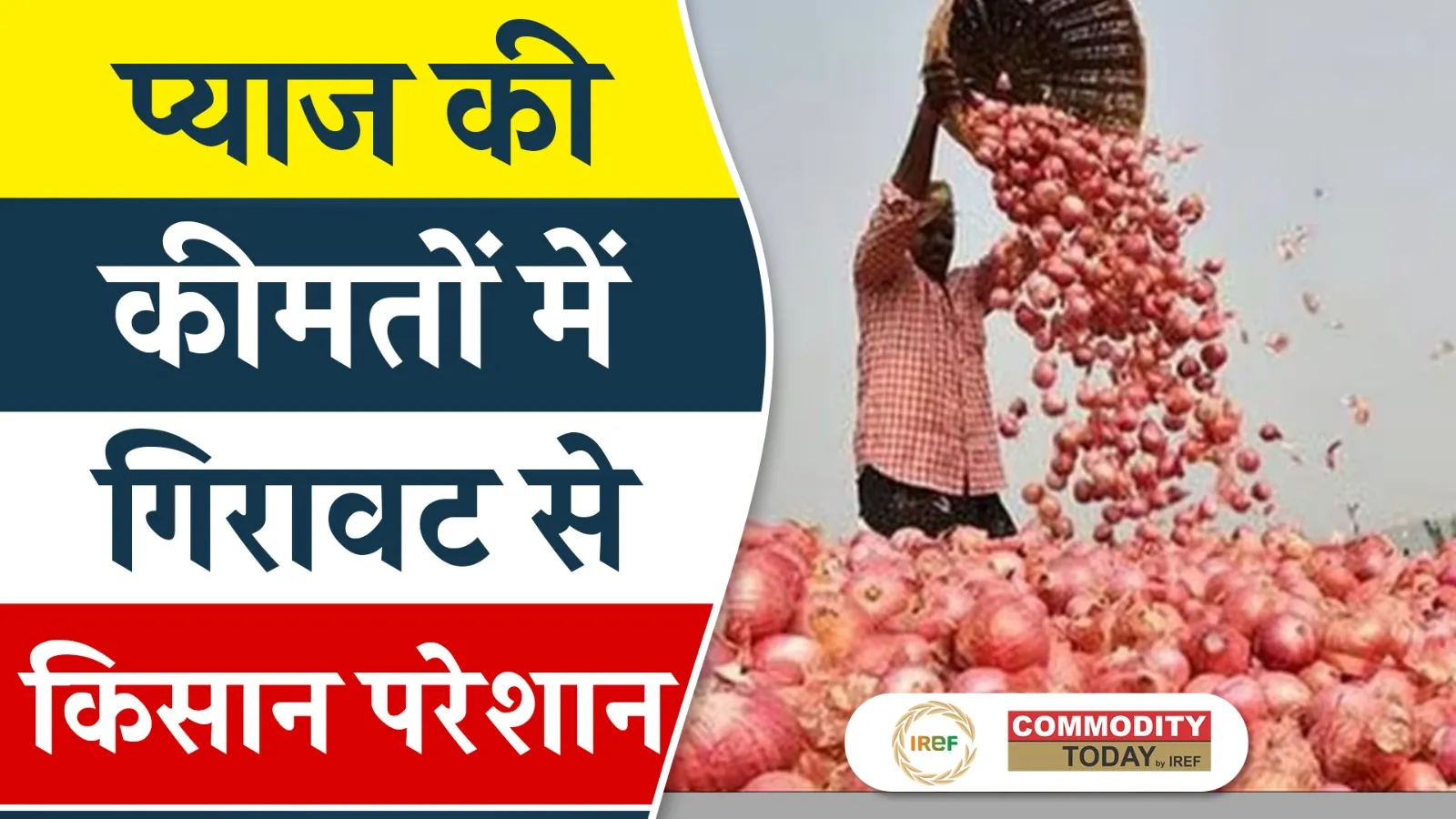 Onion Farmers in Maharashtra Face Heavy Losses as Prices Fall 15%