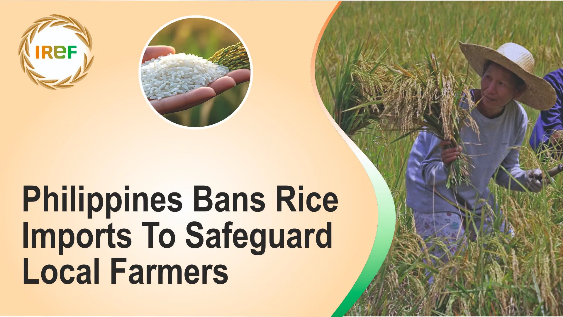 Philippines Bans Rice Imports To Safeguard Local Farmers