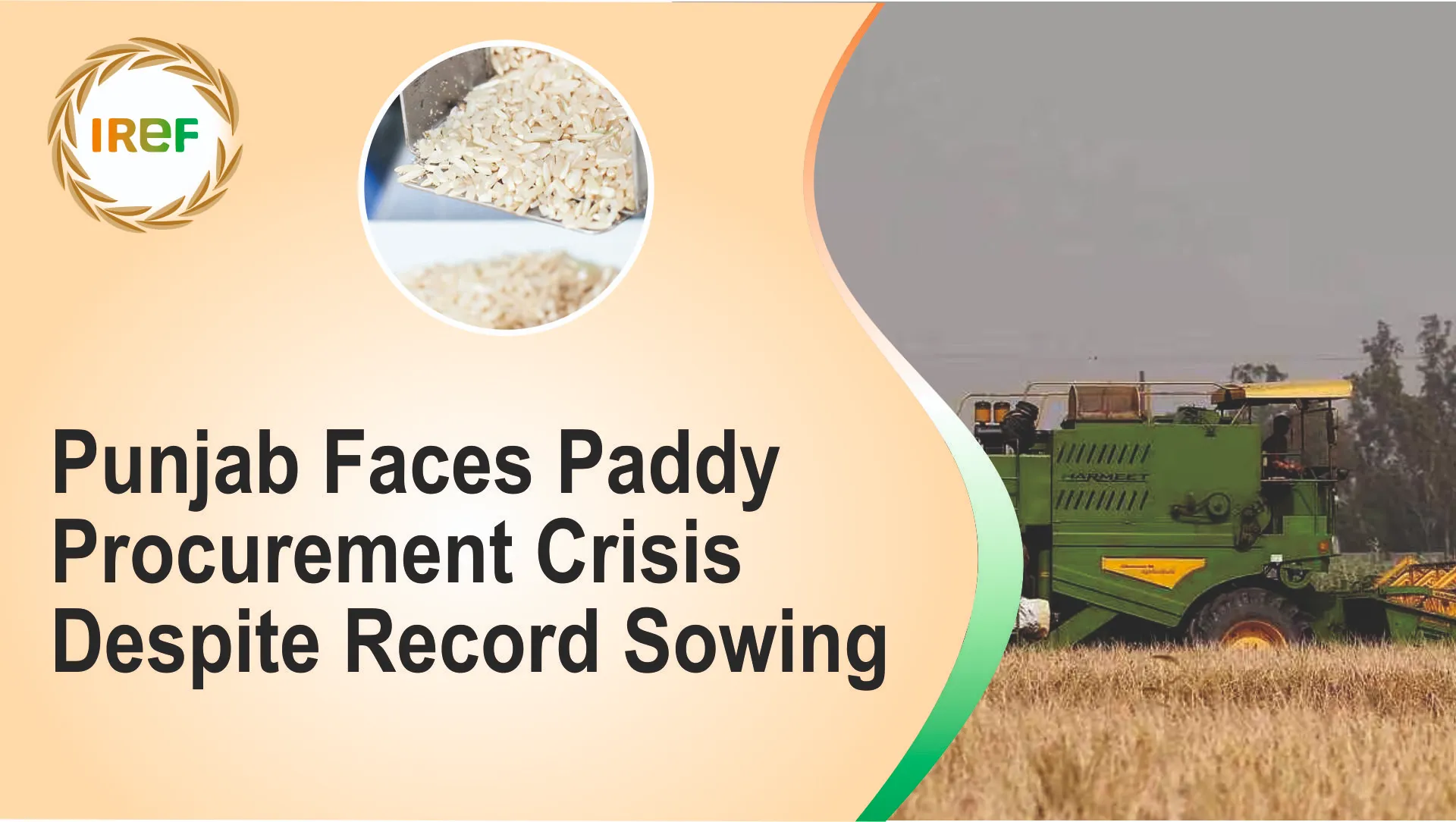 Punjab Faces Paddy Procurement Crisis Despite Record Sowing