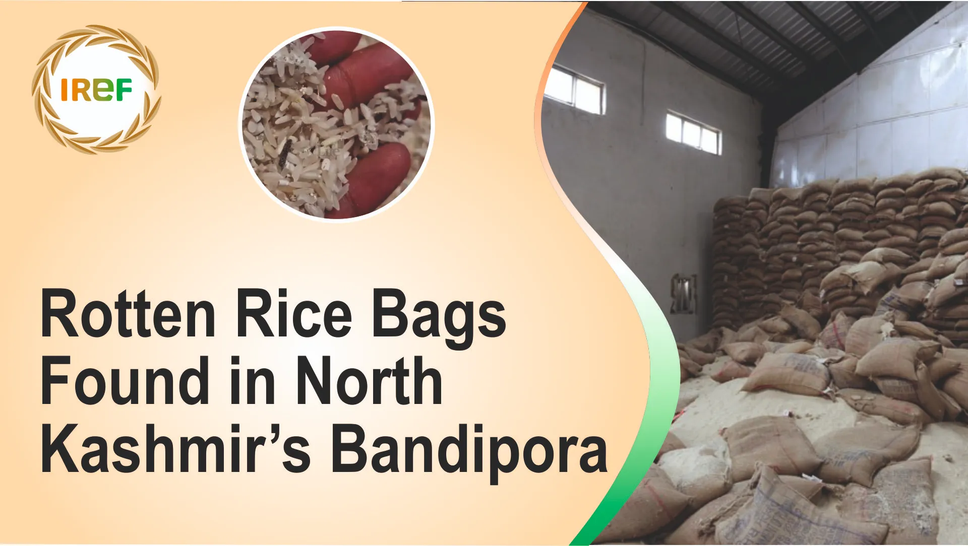 Rotten Rice Bags Found in North Kashmir’s Bandipora