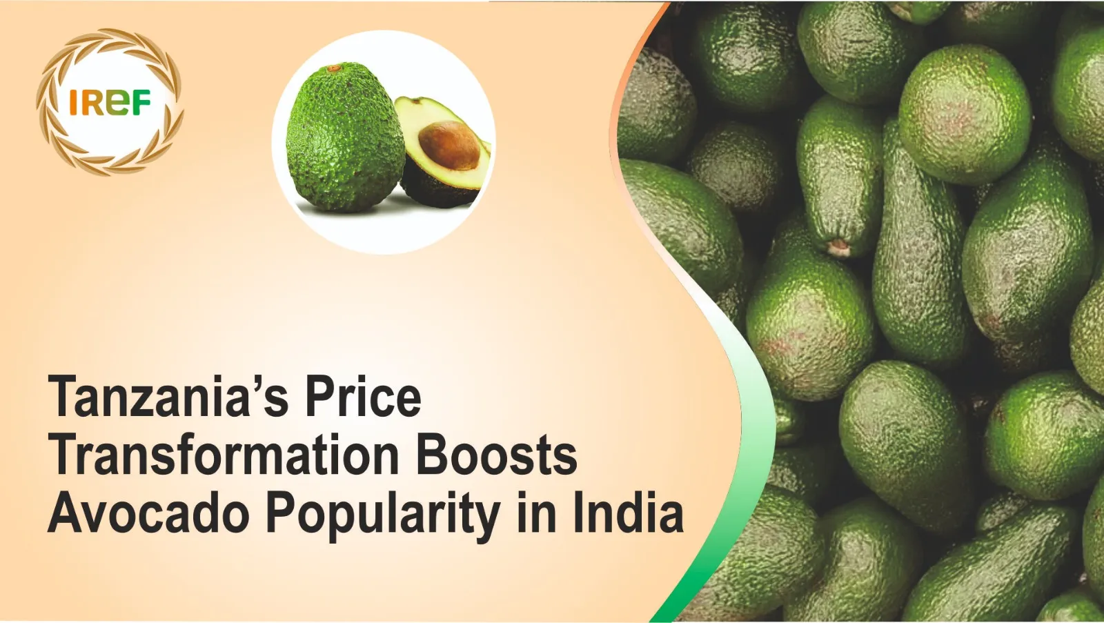 Tanzania’s Price Transformation Boosts Avocado Popularity in India