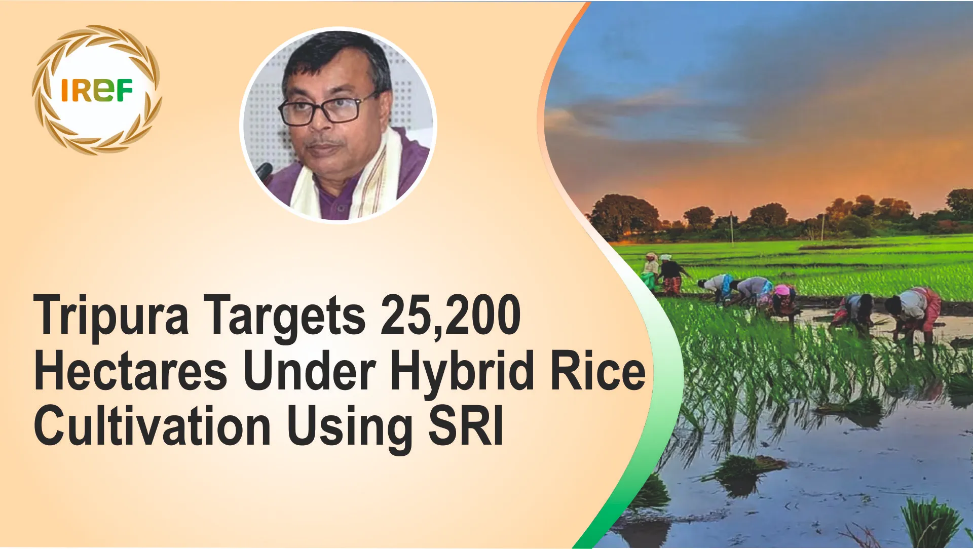 Tripura Targets 25,200 Hectares Under Hybrid Rice Cultivation Using SRI