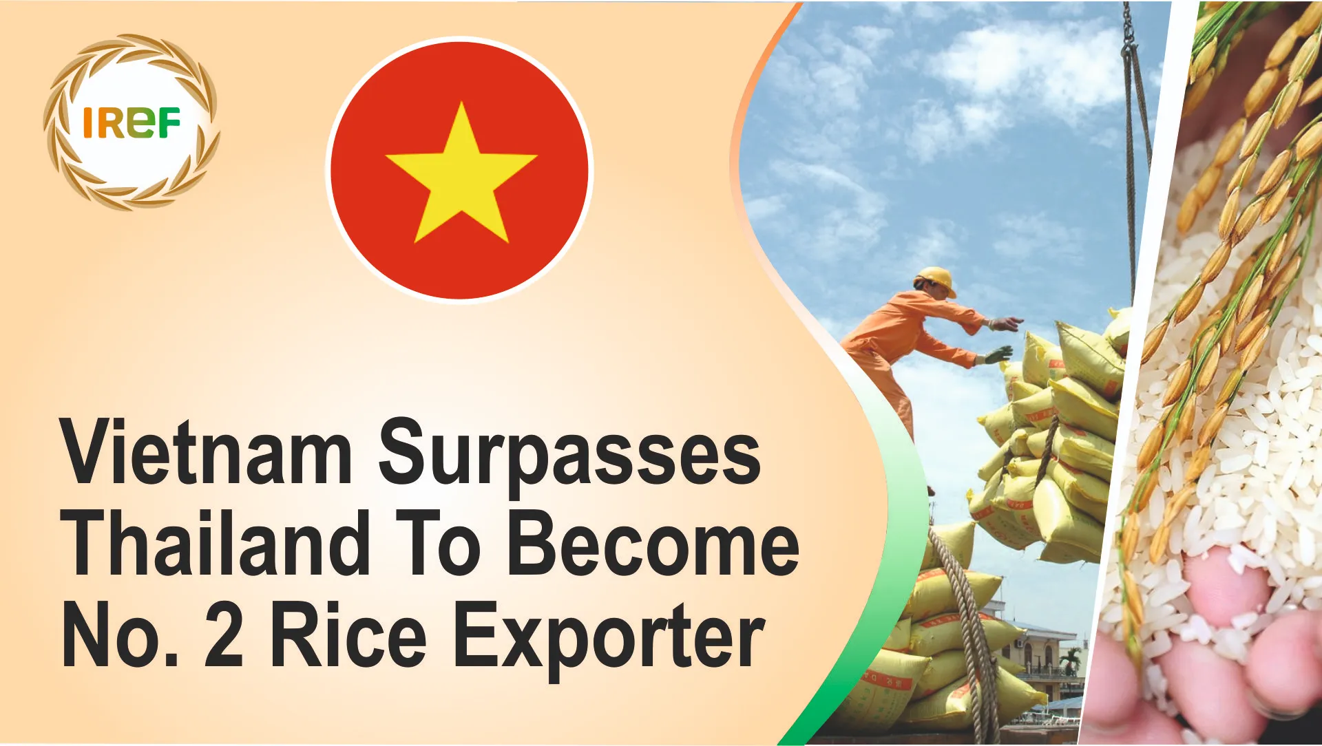 Vietnam Surpasses Thailand To Become No 2 Rice Exporter