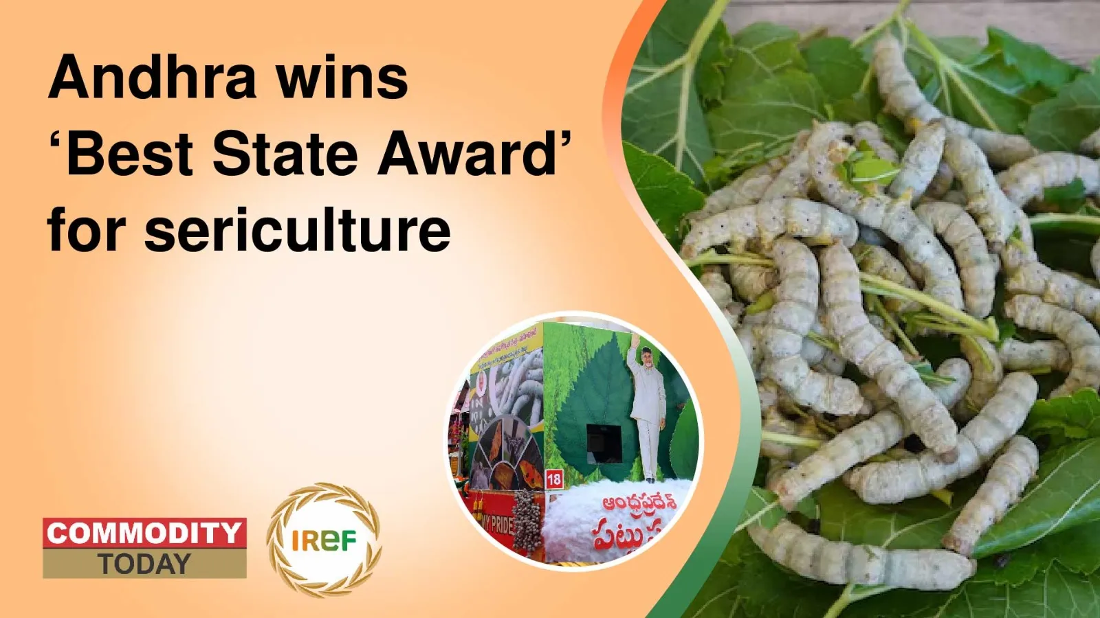 Andhra wins ‘Best State Award’ for sericulture