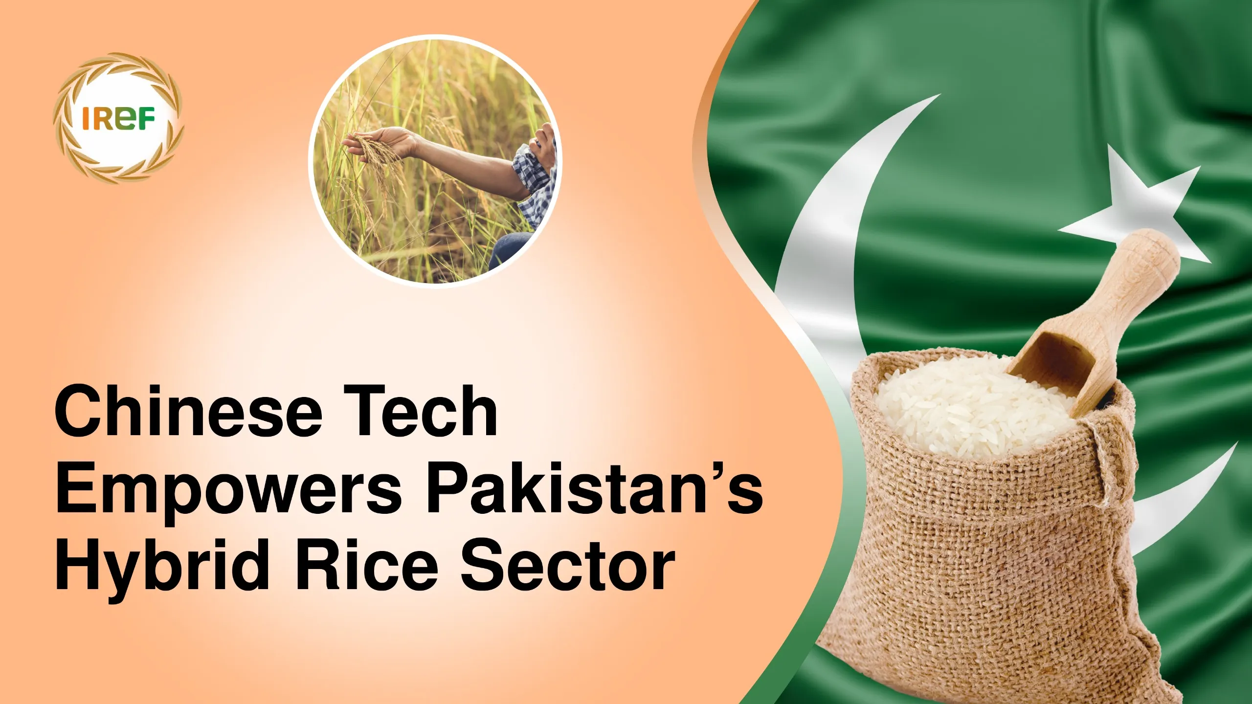 Chinese Tech Empowers Pakistan’s Hybrid Rice Sector