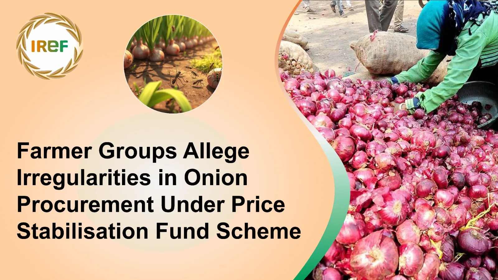 Farmer Groups Allege Irregularities in Onion Procurement Under Price Stabilisation Fund Scheme