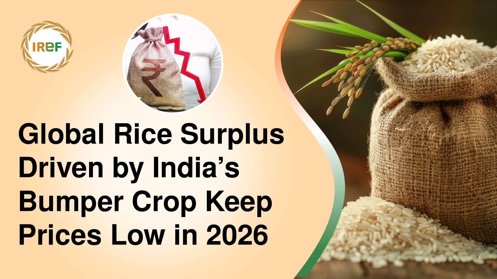 Global Rice Surplus Driven by India’s Bumper Crop Keep Prices Low in 2026