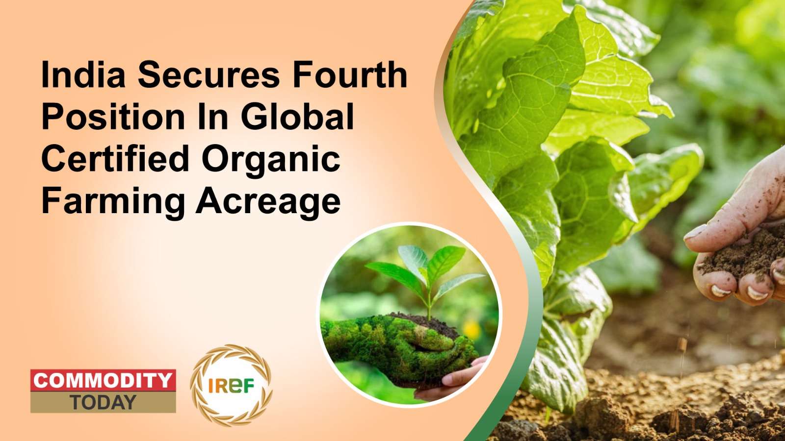 India Secures Fourth Position In Global Certified Organic Farming Acreage