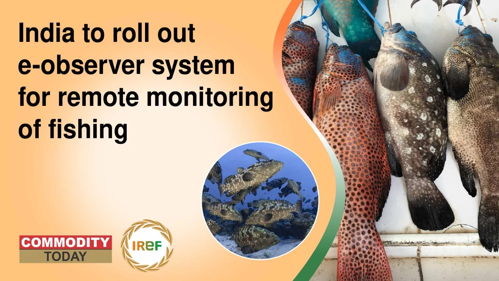 India To Roll Out E-Observer System For Remote Monitoring Of Fishing