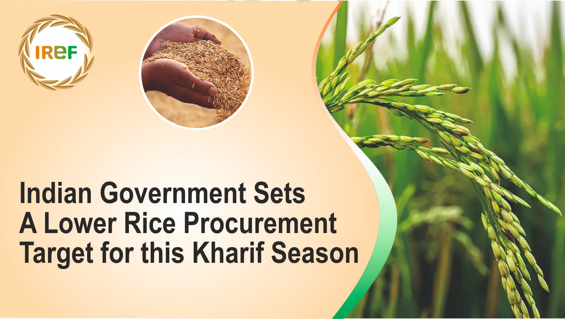 Indian Government Sets a Lower Rice Procurement Target for this Kharif Season