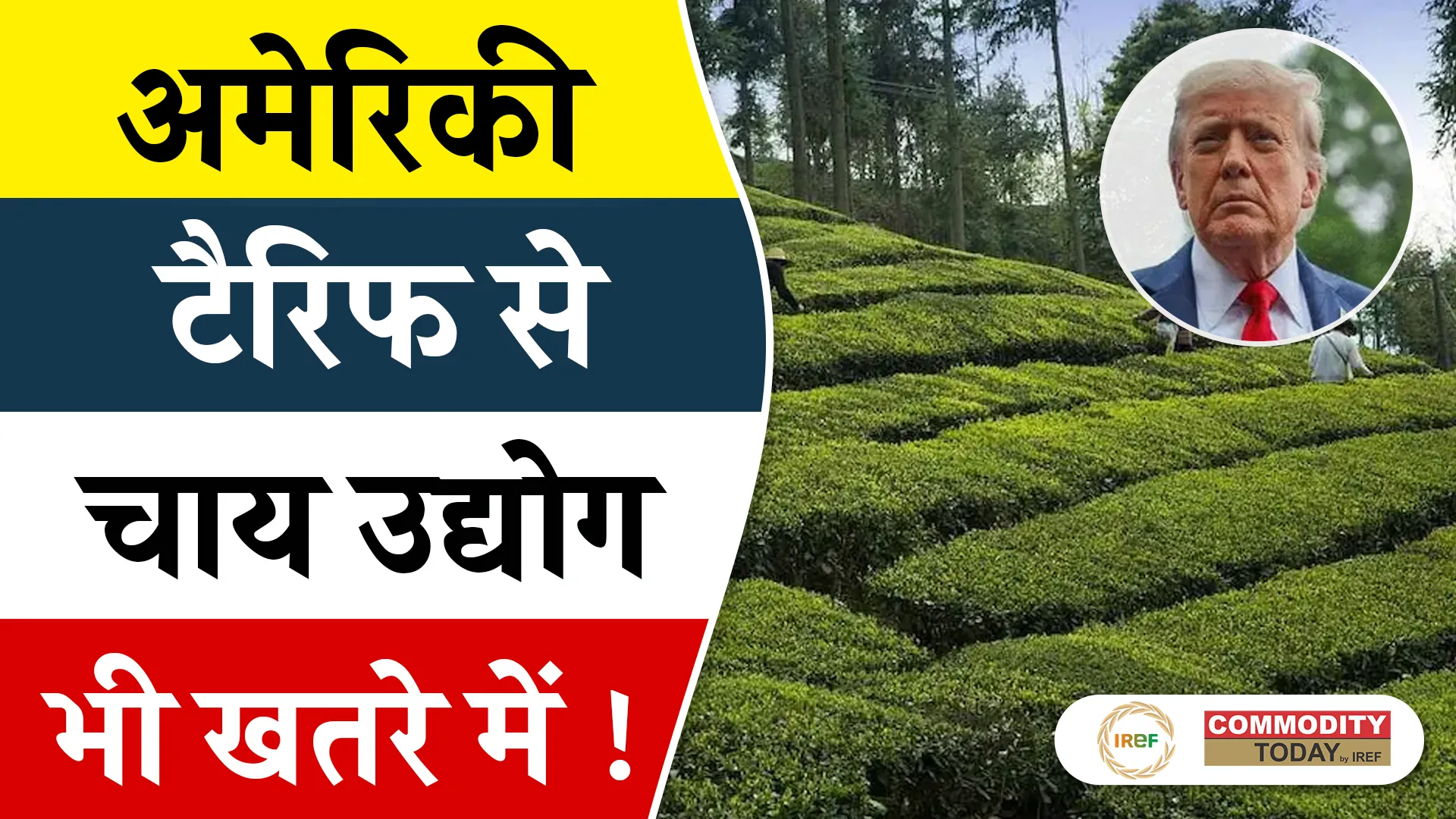 Indian Tea Industry Concerned Over Higher US Tariff