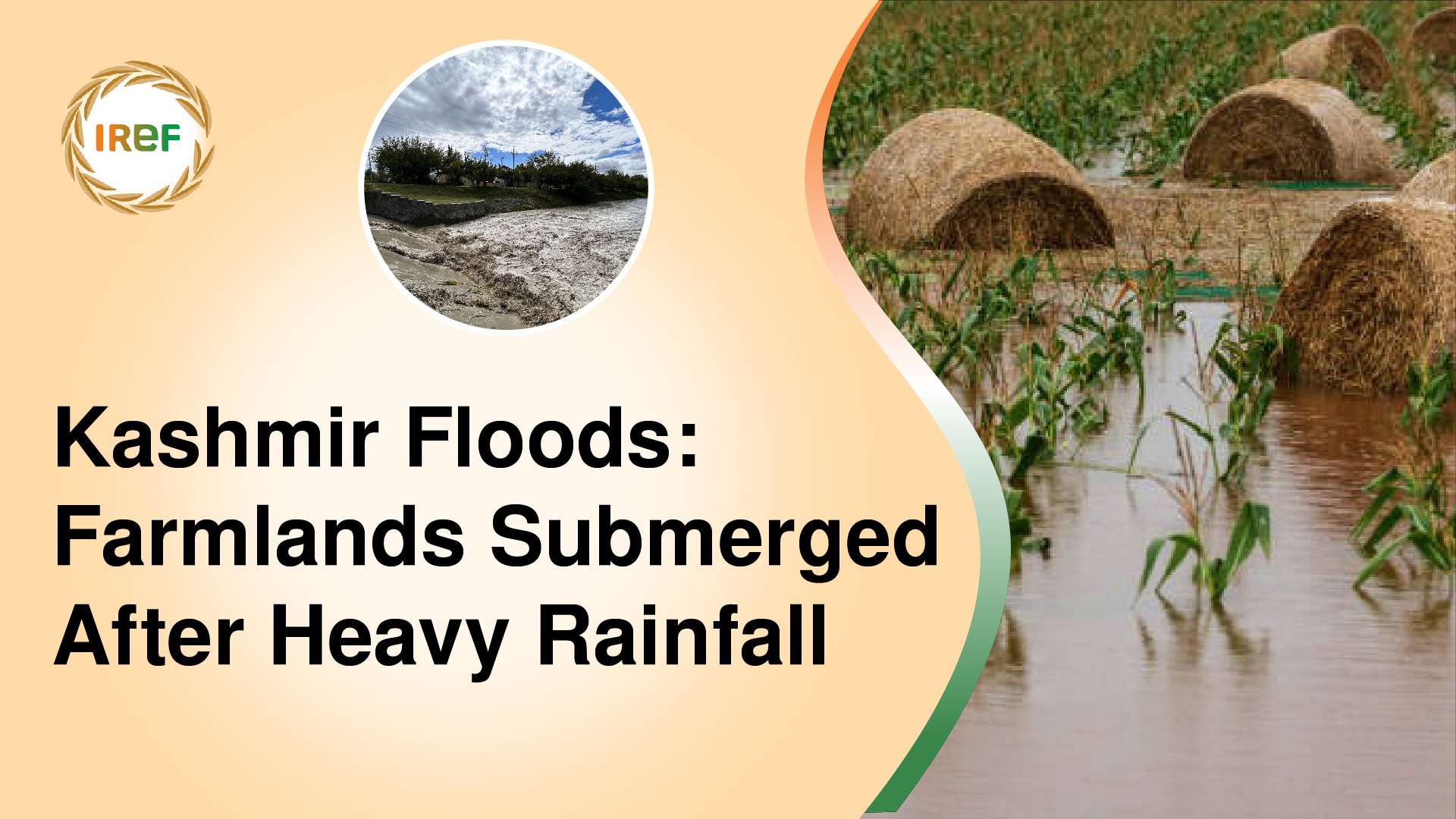 Kashmir Floods: Farmlands Submerged After Heavy Rainfall