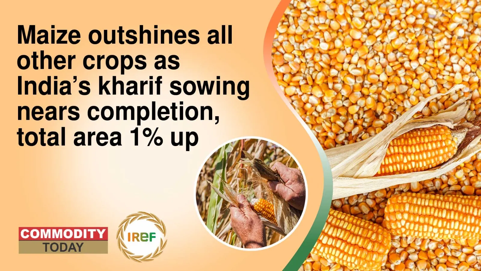 Maize Outshines Other Crops as Kharif Sowing in India Nears Completion