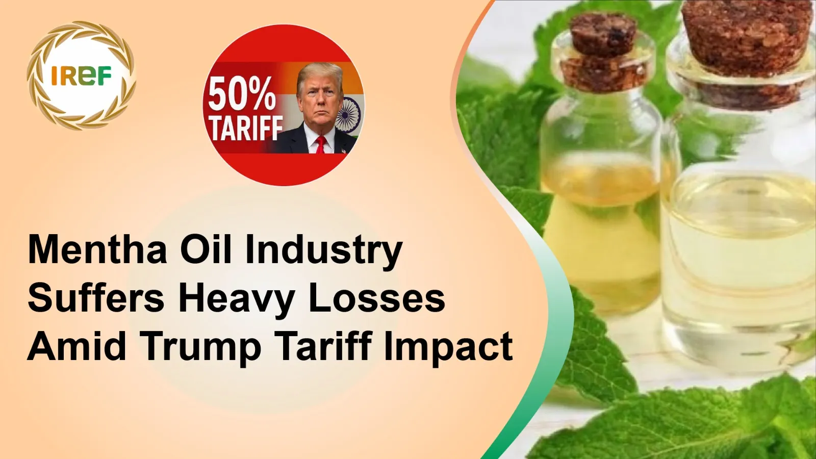 Mentha Oil Industry Suffers Heavy Losses Amid Trump Tariff Impact