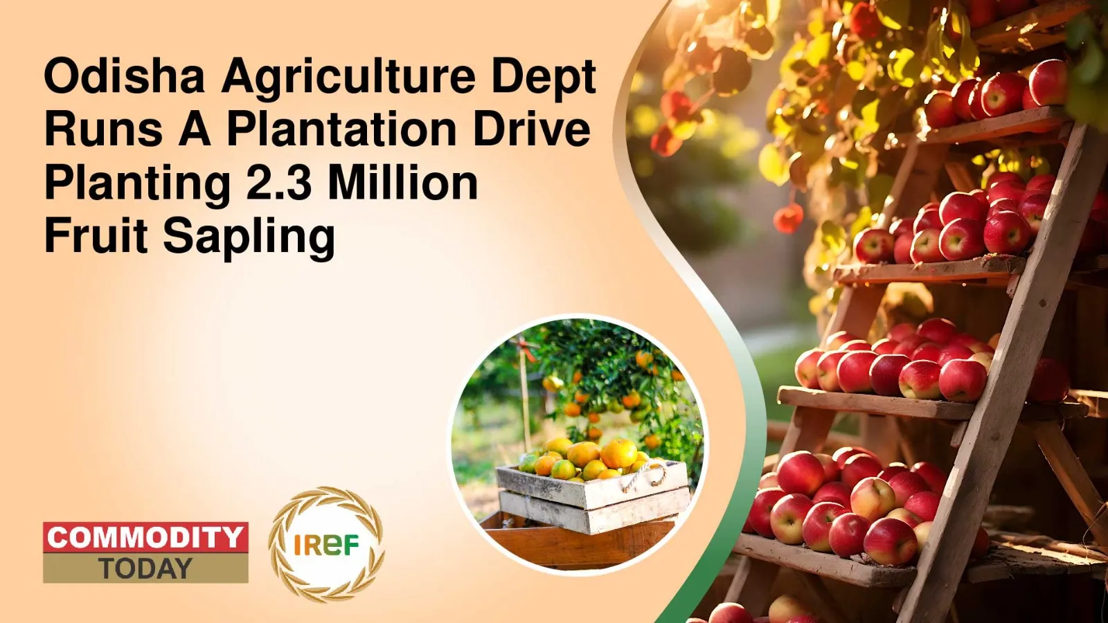 Odisha Agriculture Dept Runs A Plantation Drive Planting 2.3 Million Fruit Saplings